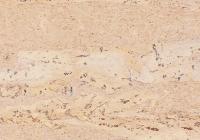 Пробковый пол Corkstyle Natural Cork Glue Comprido Creme